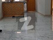 Brand New 8 Marla Designer House