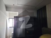 Brand New Apartment Available