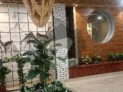 Brand New Apartment For Rent