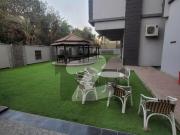 Brand New Apartment For Rent Civil Lines Brand New Apartment For Rent Civil Lines