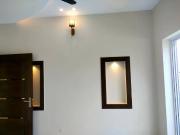 Brand new Beautifull 7marla house for rent available...