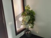 Brand new bungalow for sale dha phase 8 pics original...