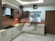 Brand New Corner House With 15KVA Solar Extra Renovated...