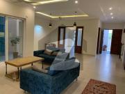 Brand New Designer Double Storey House In D 12 Islamabad...