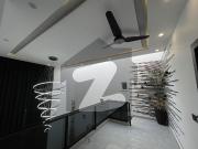 Brand New Designer House For Sale In Sector B Double...