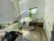 Brand New Fist Floor Apartment Available For Office Use... Brand New Fist Floor Apartment Available For Office Use...