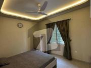 Brand new flat available for rent