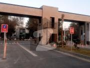 Brand New Flat For Rent In Askari 11 D, Lahore Askari 11...