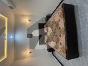 Brand New Full Furnished Ground Portion For Rent