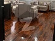 Brand New Fully Furnished Apartment