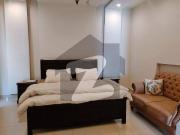 Brand New Fully Furnished House Available For Rent In...