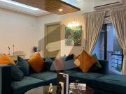 Brand New Fully Furnished One Bedroom Apartment For Rent... Brand New Fully Furnished One Bedroom Apartment For Rent...
