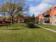 Brand New Fully Renovated 2 Bedroom Suites