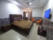 Brand new furnished one bedroom apartment for rent in...