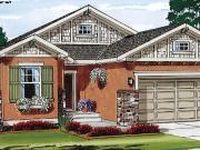 Brand New Home in Falcon, CO. 5 Bed, 3 Bath