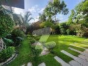 Brand New House 1000 Yds For Rent at Zulfiqar Street...