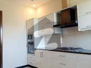 Brand New House Available For Rent In D 12