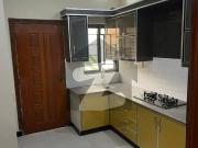 Brand New House Available For Sale Park View City Tulip...