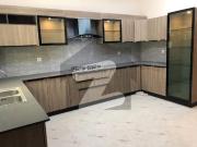 Brand New House For Rent Askari 6
