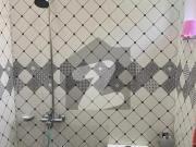 Brand New House For Rent Bahria Greens Overseas Enclave...