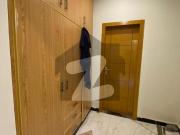 Ground Portion For Rent D 12