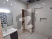 Brand New House For Rent In F 10
