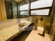 Brand New House For Rent In F 7