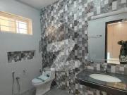 Brand New House For Rent In Media Town With All...