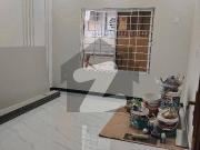 Brand new house for sale d 12