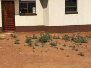 brand new house on the market in dawn city brand new house on the market in dawn city