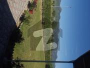 Brand new house, peaceful location, fully furnished...