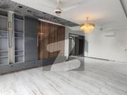 Brand New House With Full Basement Available For Rent...