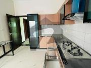 Brand New Houses For Rent At Good Location In Askari 6