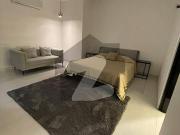 Brand New Luxurious Fully Furnished Independent Ground...