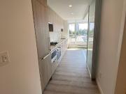 Brand new luxury 2 bed 2 bath condo in the heart of Surrey