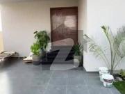 Brand New Luxury 500 Yards Bungalow, Available Now in...
