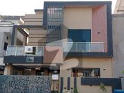 Brand New Luxury Double Unit House