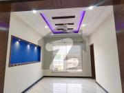 Brand New Luxury Double Unit House For Rent In Ideal...