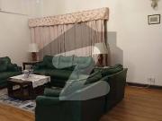 Brand New luxury Full furnished Uper portion Available...