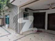 Brand New Luxury Furnished House Available For Rent