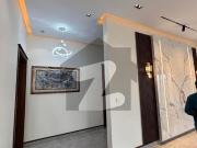 Brand new luxury house for rent in dha phase 8