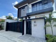 Brand New Modern House for Sale in BF Homes, Parañaque...