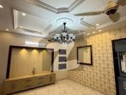 Brand. New Portion Available For Rent