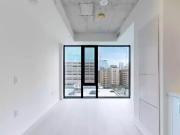 Brand New Soft Loft Modern Studio Condo Amazing Locaton