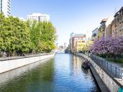 Brand new studio in Berlin Mitte, Berlin Amsterdam...