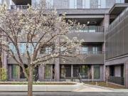 Executive Townhouse in 88 O'Connell, a Perfect Fit...