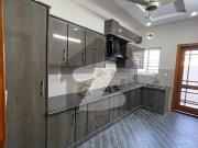 Brand New Triple Story House For Rent