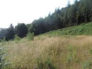 Brandondale Graiguenamanagh Co Kilkenny