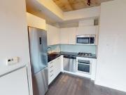 BRANT PARK LOFTS Studio Apartment for Rent at 39 Brant...