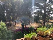 BRAVETTA VIA SOGLIANO 2 PIANO PANORAMICO NEL VERDE